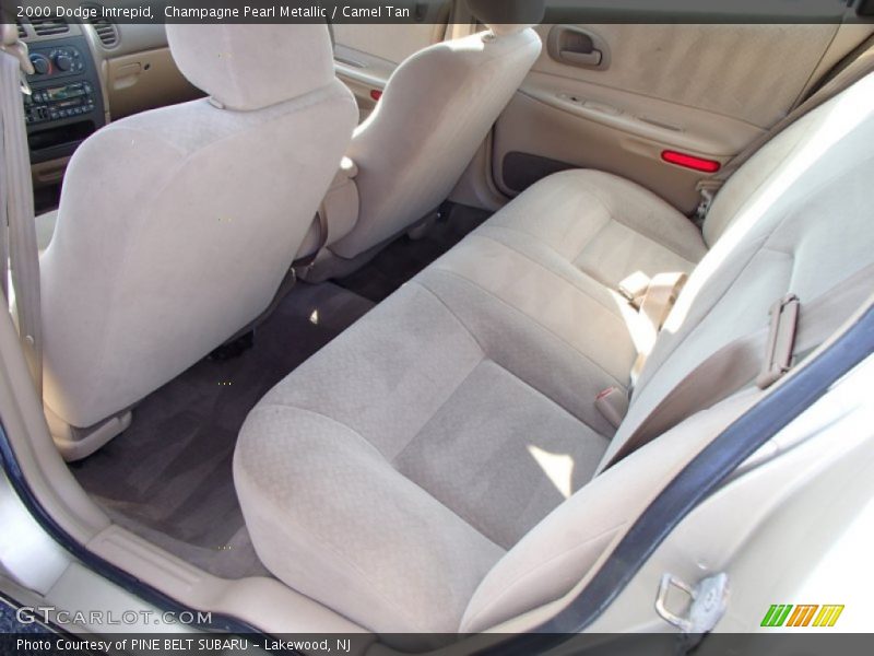 Champagne Pearl Metallic / Camel Tan 2000 Dodge Intrepid