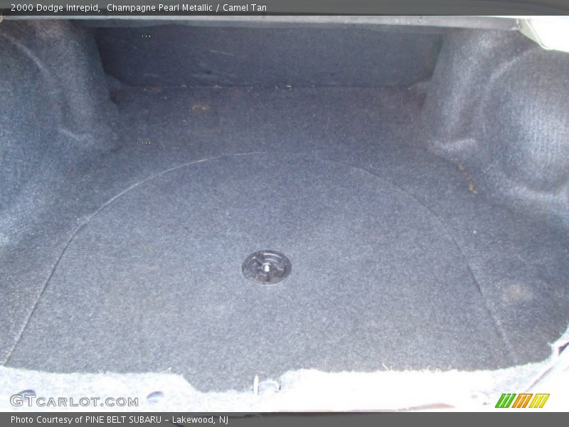 Champagne Pearl Metallic / Camel Tan 2000 Dodge Intrepid