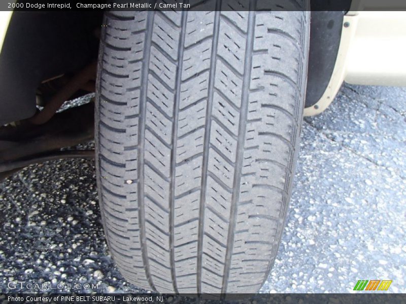 Champagne Pearl Metallic / Camel Tan 2000 Dodge Intrepid