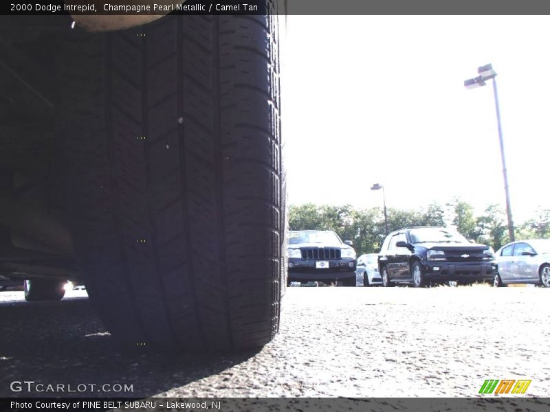 Champagne Pearl Metallic / Camel Tan 2000 Dodge Intrepid