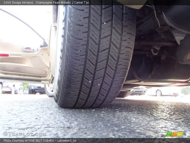 Champagne Pearl Metallic / Camel Tan 2000 Dodge Intrepid
