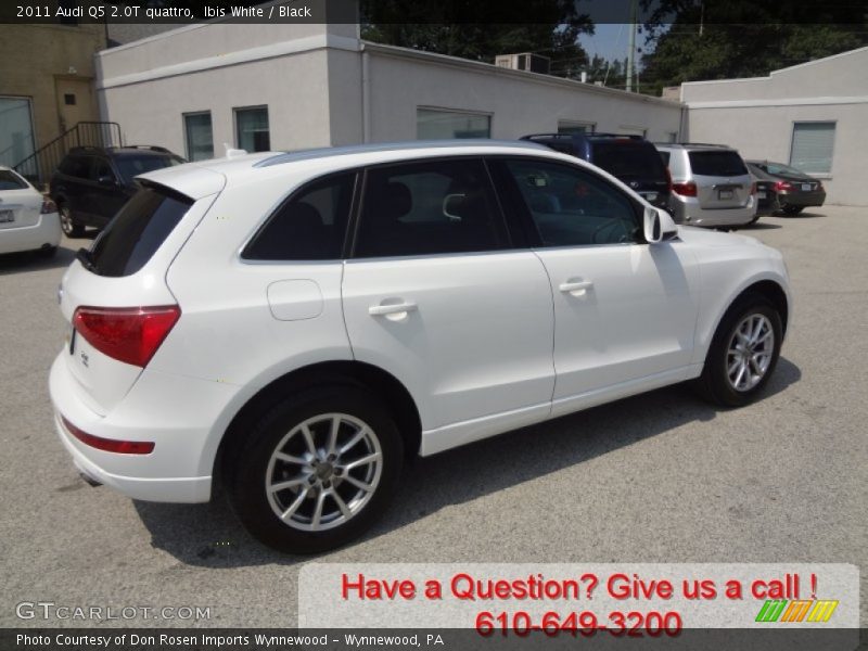 Ibis White / Black 2011 Audi Q5 2.0T quattro