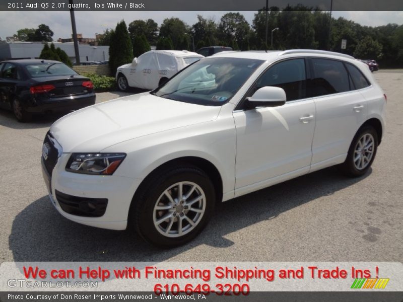 Ibis White / Black 2011 Audi Q5 2.0T quattro
