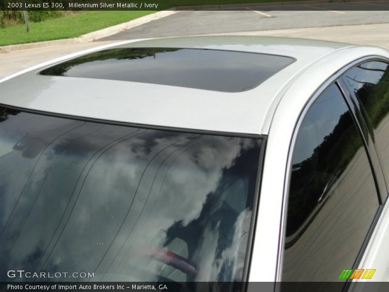 Millennium Silver Metallic / Ivory 2003 Lexus ES 300