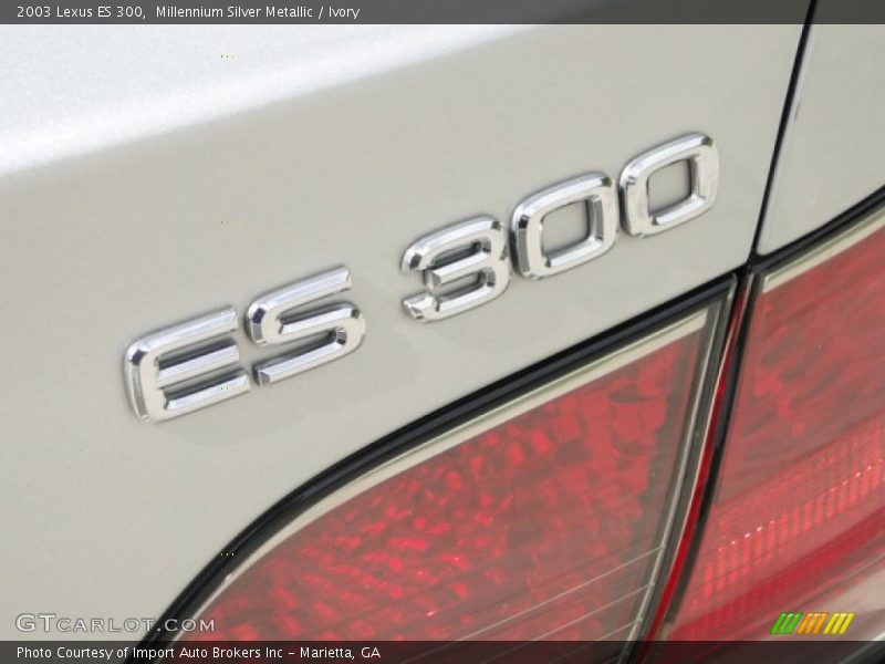 Millennium Silver Metallic / Ivory 2003 Lexus ES 300