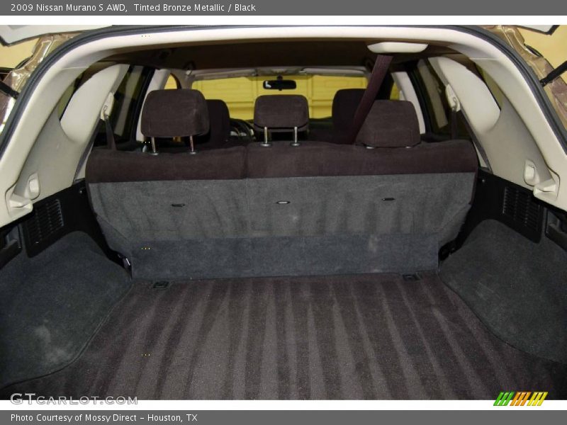 Tinted Bronze Metallic / Black 2009 Nissan Murano S AWD