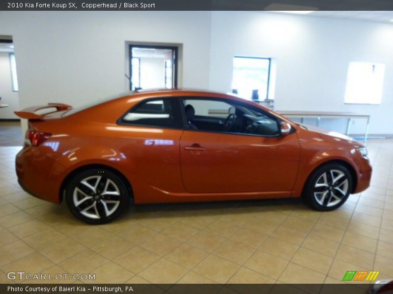 Copperhead / Black Sport 2010 Kia Forte Koup SX