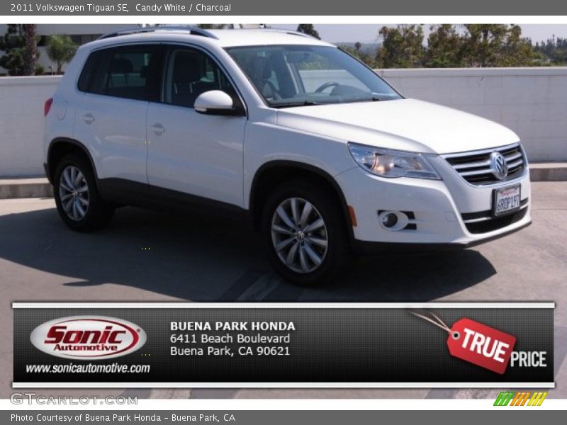 Candy White / Charcoal 2011 Volkswagen Tiguan SE