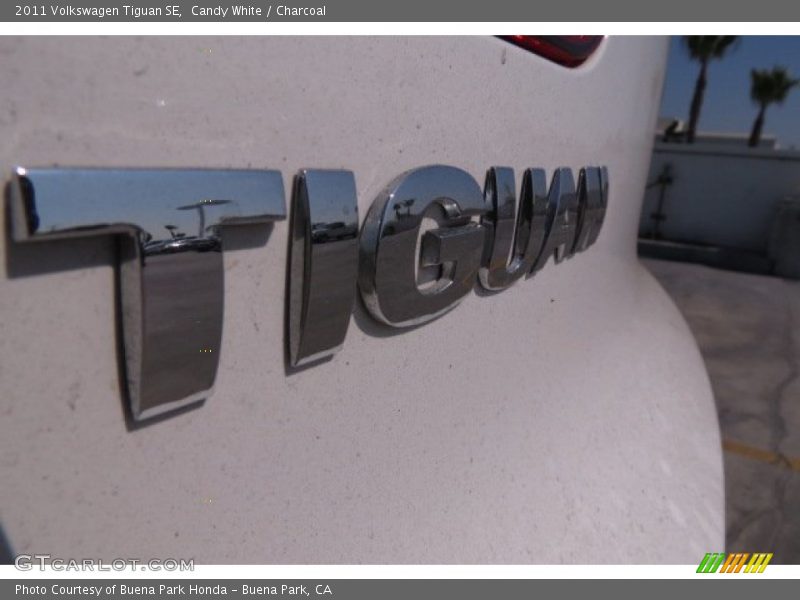 Candy White / Charcoal 2011 Volkswagen Tiguan SE