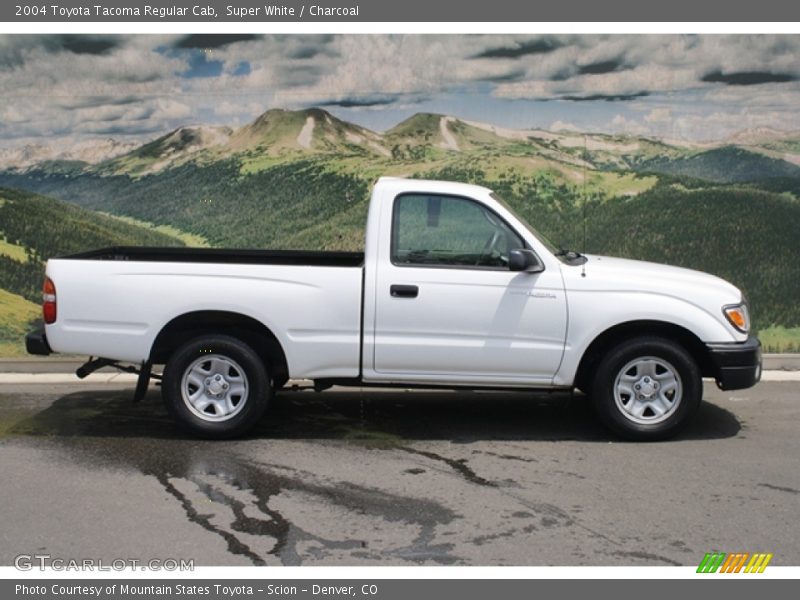 Super White / Charcoal 2004 Toyota Tacoma Regular Cab