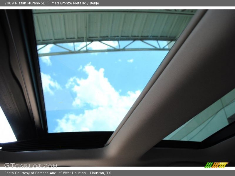 Tinted Bronze Metallic / Beige 2009 Nissan Murano SL