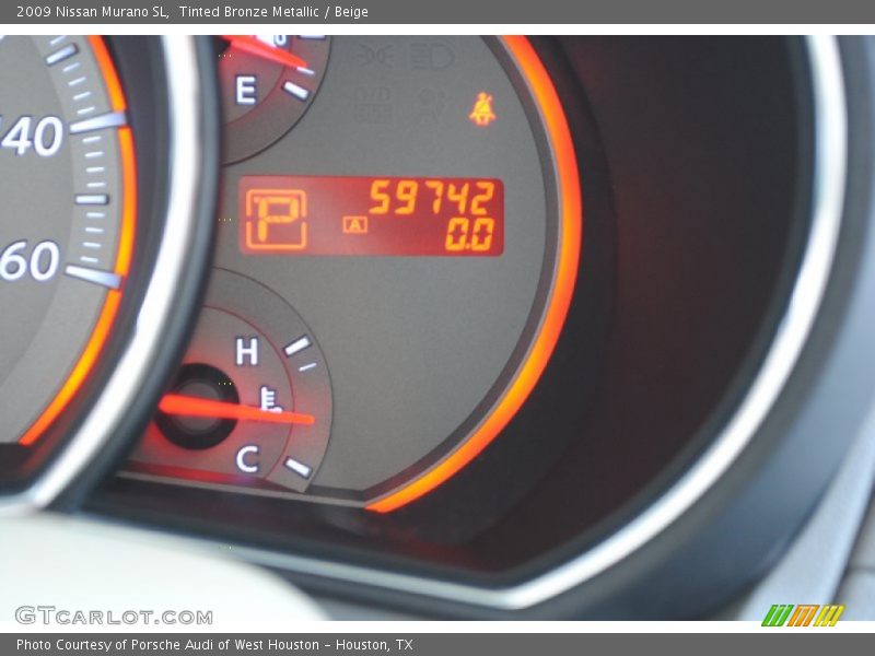 Tinted Bronze Metallic / Beige 2009 Nissan Murano SL
