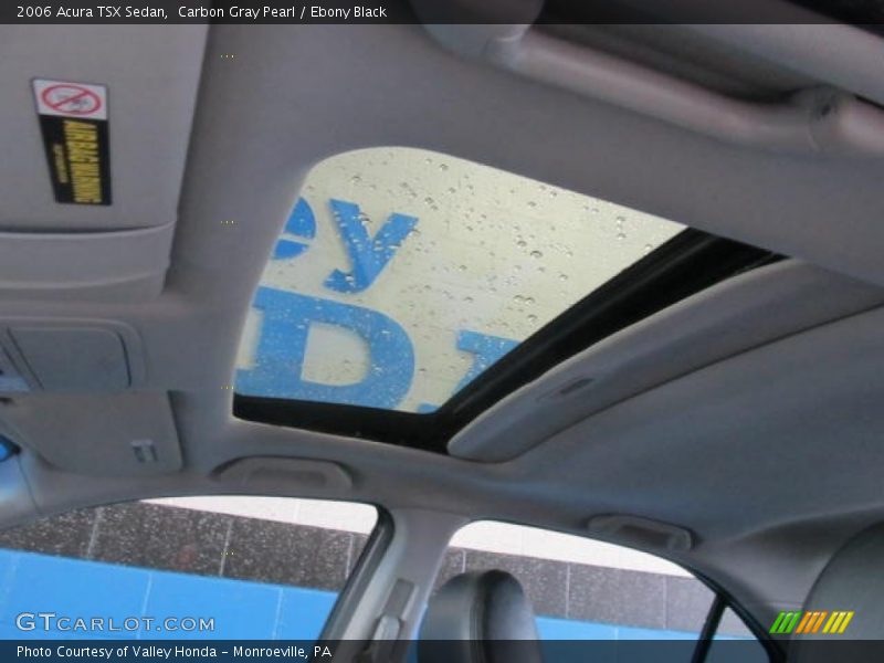 Carbon Gray Pearl / Ebony Black 2006 Acura TSX Sedan