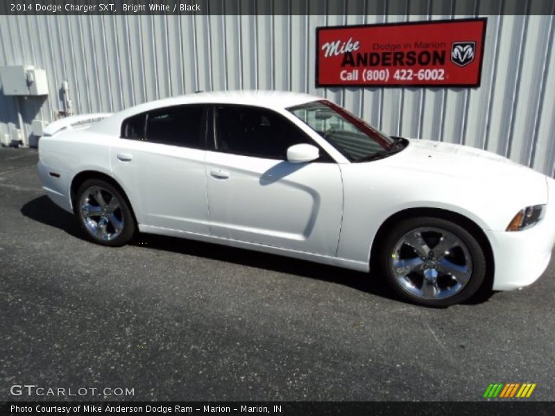 Bright White / Black 2014 Dodge Charger SXT
