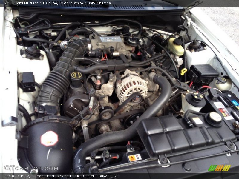 Oxford White / Dark Charcoal 2003 Ford Mustang GT Coupe