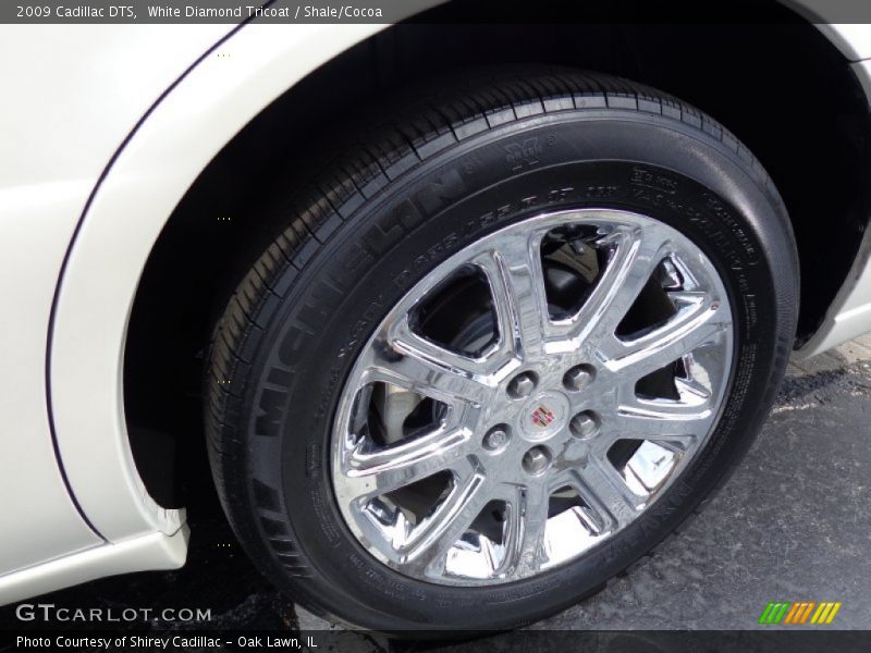 White Diamond Tricoat / Shale/Cocoa 2009 Cadillac DTS
