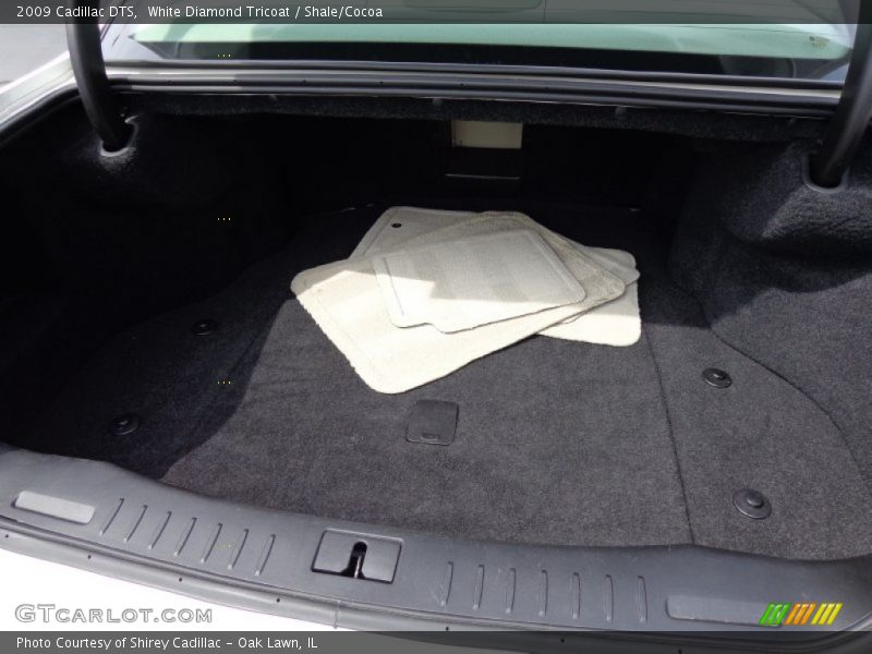 White Diamond Tricoat / Shale/Cocoa 2009 Cadillac DTS
