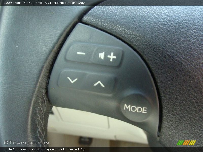 Smokey Granite Mica / Light Gray 2009 Lexus ES 350