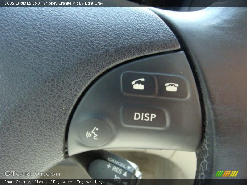 Smokey Granite Mica / Light Gray 2009 Lexus ES 350