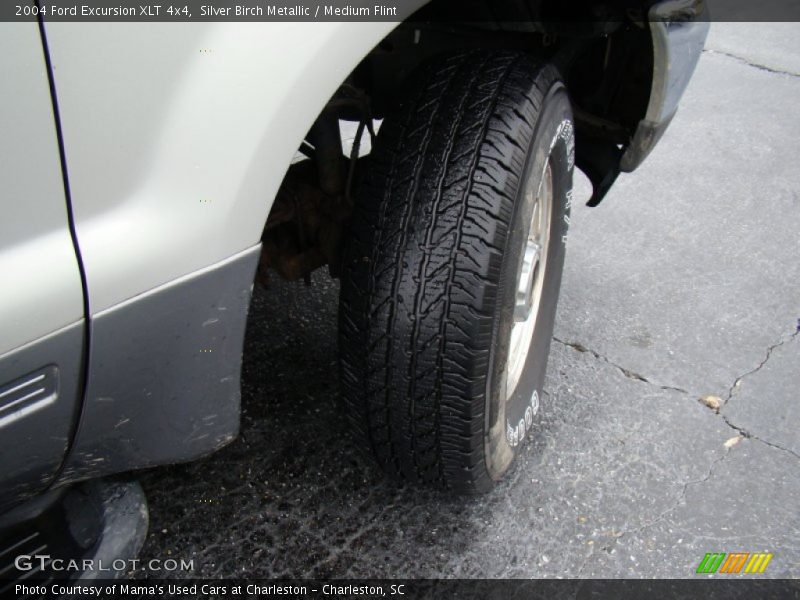 Silver Birch Metallic / Medium Flint 2004 Ford Excursion XLT 4x4
