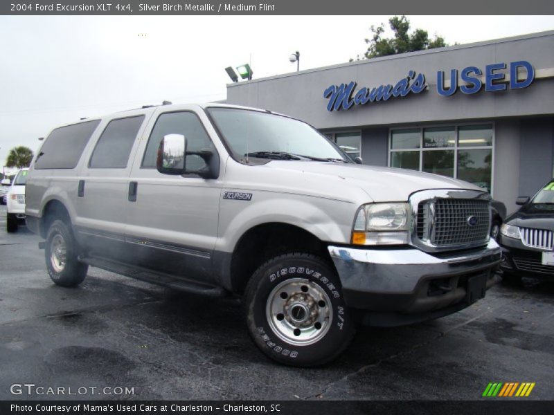 Silver Birch Metallic / Medium Flint 2004 Ford Excursion XLT 4x4