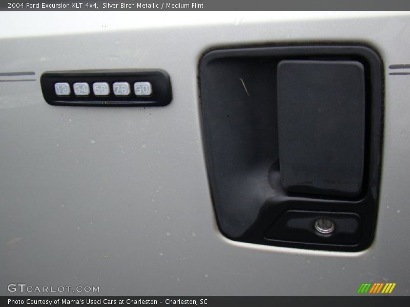 Silver Birch Metallic / Medium Flint 2004 Ford Excursion XLT 4x4