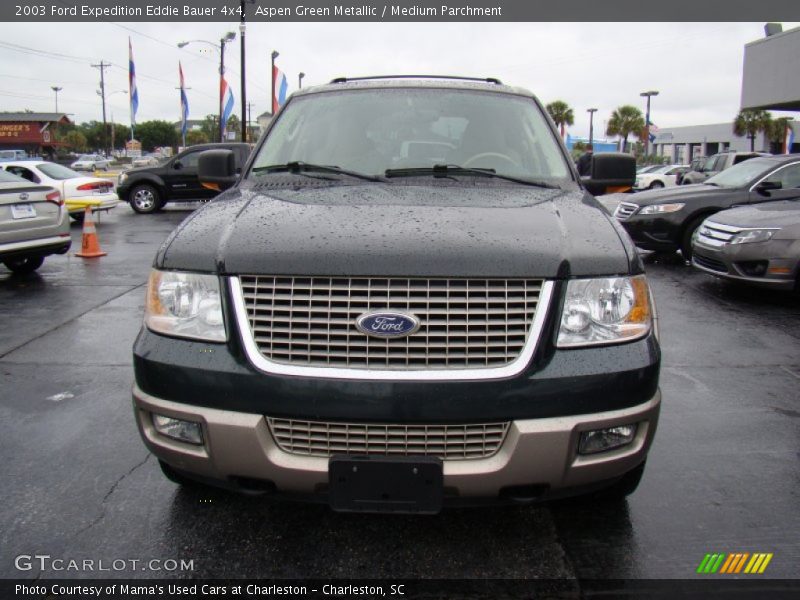 Aspen Green Metallic / Medium Parchment 2003 Ford Expedition Eddie Bauer 4x4