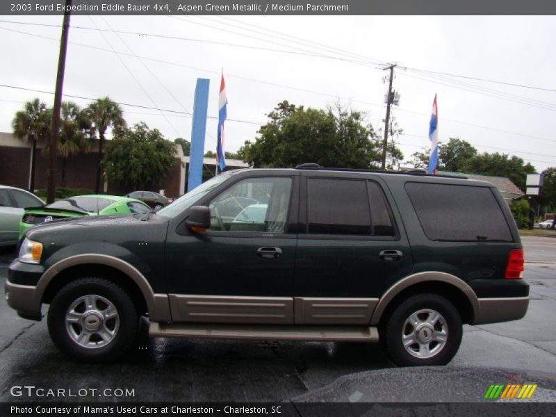 Aspen Green Metallic / Medium Parchment 2003 Ford Expedition Eddie Bauer 4x4