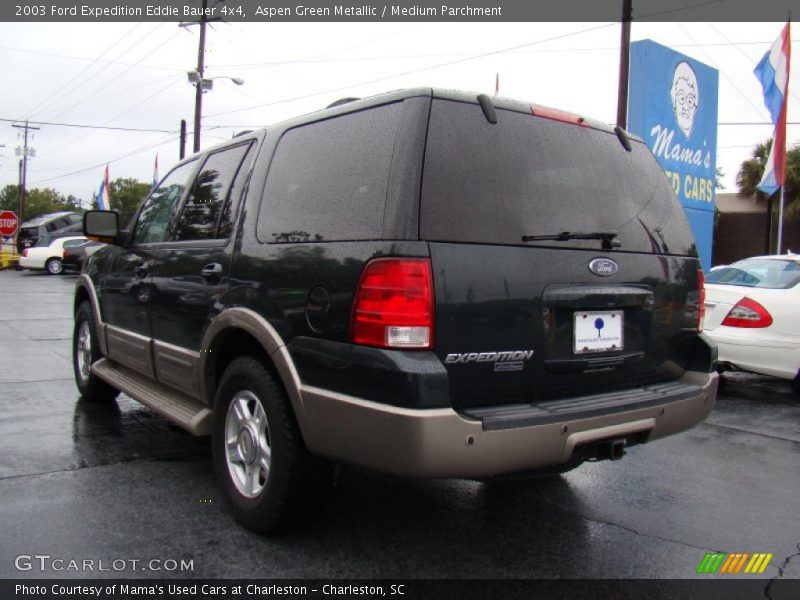 Aspen Green Metallic / Medium Parchment 2003 Ford Expedition Eddie Bauer 4x4