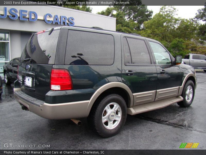 Aspen Green Metallic / Medium Parchment 2003 Ford Expedition Eddie Bauer 4x4