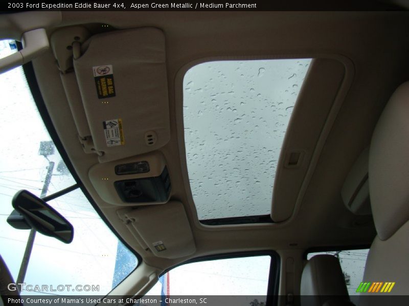 Aspen Green Metallic / Medium Parchment 2003 Ford Expedition Eddie Bauer 4x4