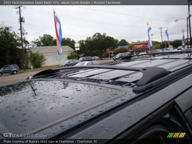 Aspen Green Metallic / Medium Parchment 2003 Ford Expedition Eddie Bauer 4x4