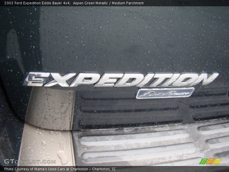 Aspen Green Metallic / Medium Parchment 2003 Ford Expedition Eddie Bauer 4x4
