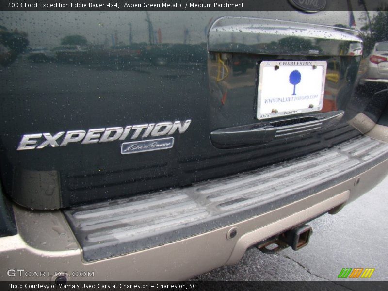 Aspen Green Metallic / Medium Parchment 2003 Ford Expedition Eddie Bauer 4x4