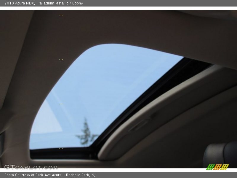 Palladium Metallic / Ebony 2010 Acura MDX