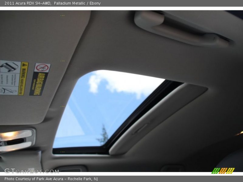 Palladium Metallic / Ebony 2011 Acura RDX SH-AWD