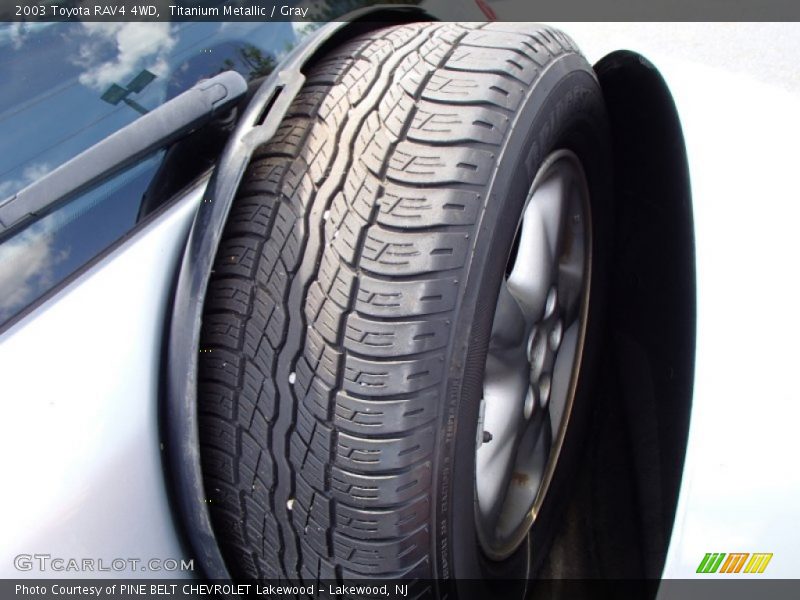 Titanium Metallic / Gray 2003 Toyota RAV4 4WD