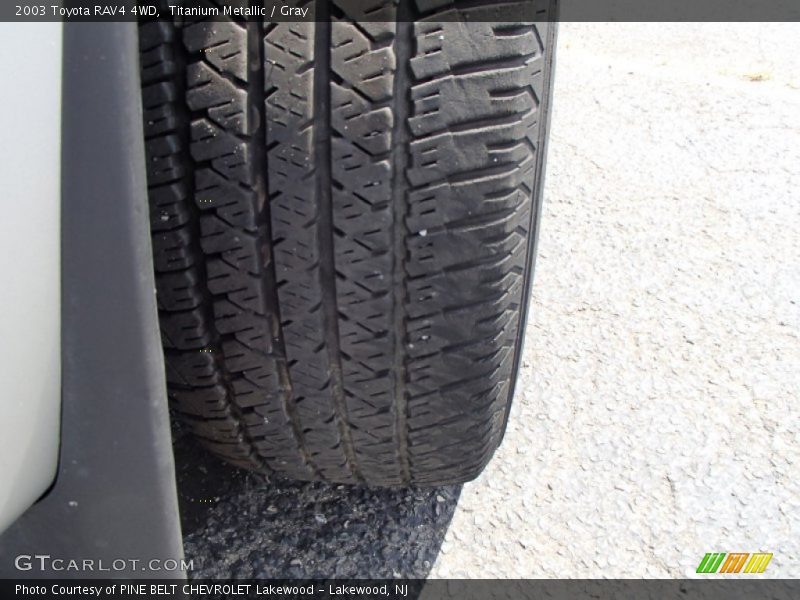 Titanium Metallic / Gray 2003 Toyota RAV4 4WD