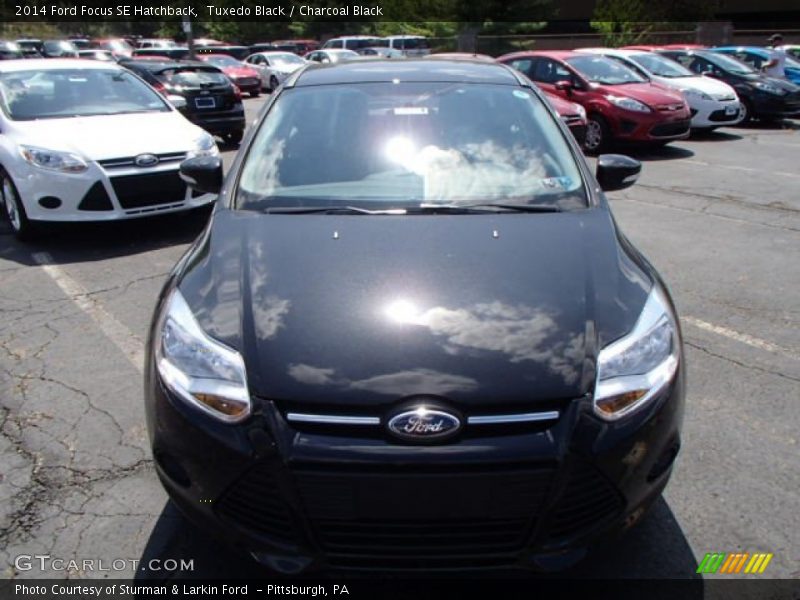 Tuxedo Black / Charcoal Black 2014 Ford Focus SE Hatchback