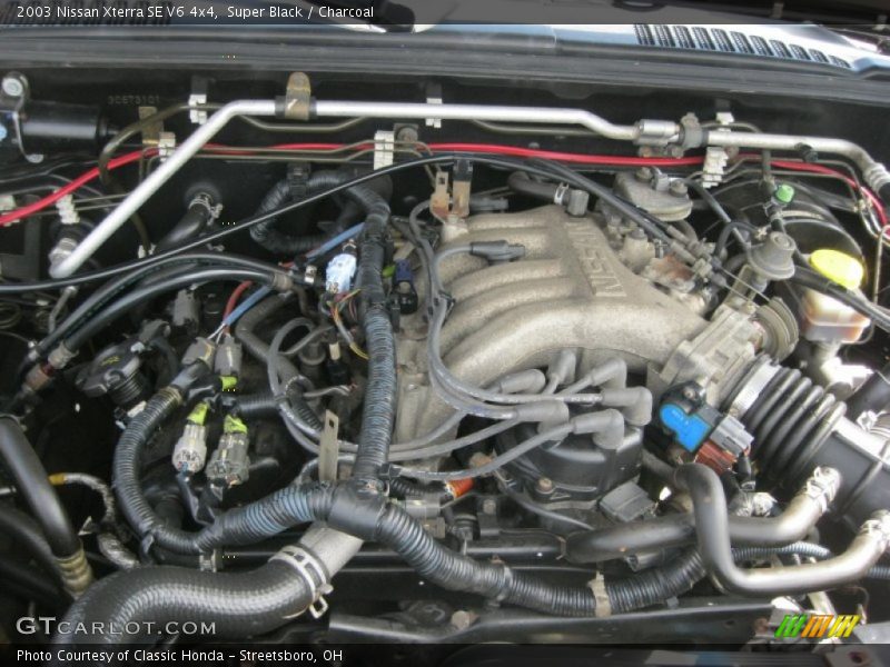 Super Black / Charcoal 2003 Nissan Xterra SE V6 4x4