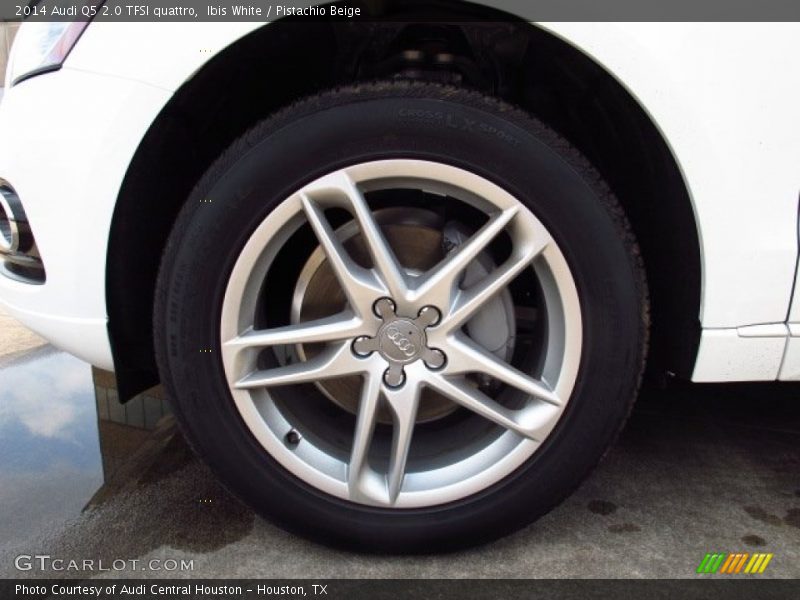 Ibis White / Pistachio Beige 2014 Audi Q5 2.0 TFSI quattro