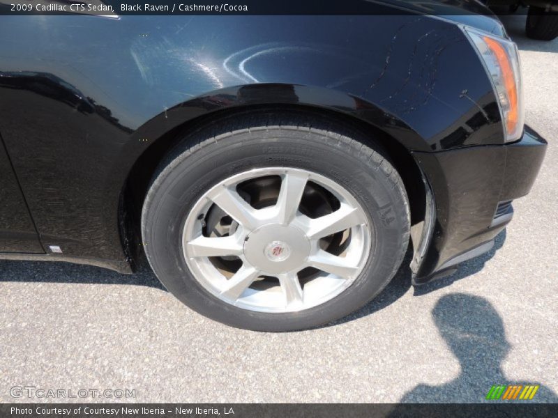 Black Raven / Cashmere/Cocoa 2009 Cadillac CTS Sedan
