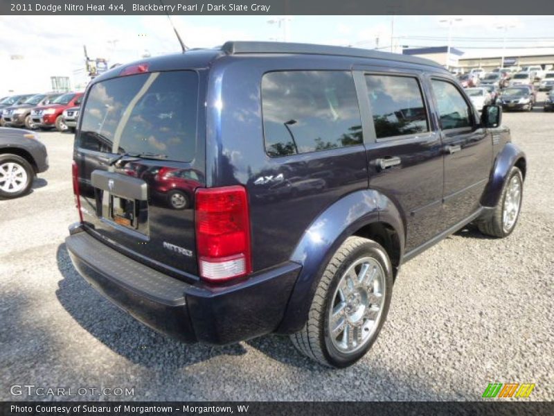 Blackberry Pearl / Dark Slate Gray 2011 Dodge Nitro Heat 4x4