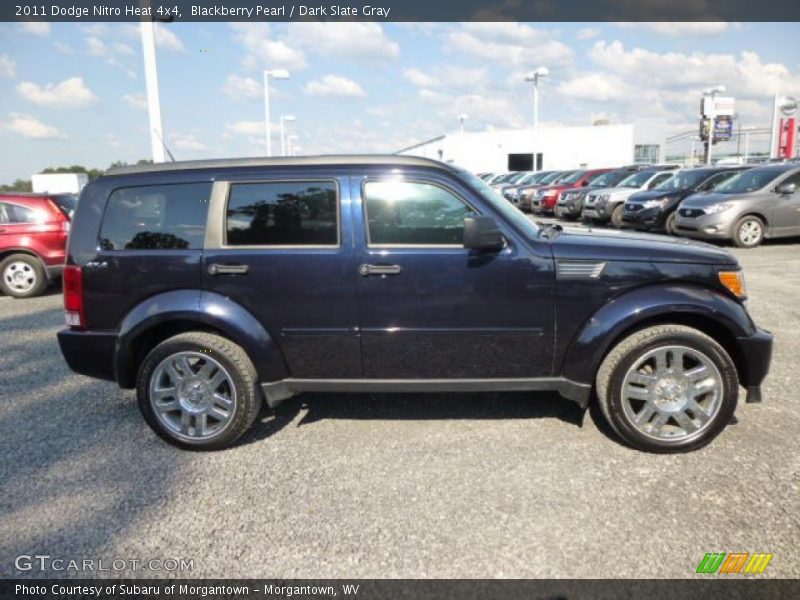 Blackberry Pearl / Dark Slate Gray 2011 Dodge Nitro Heat 4x4