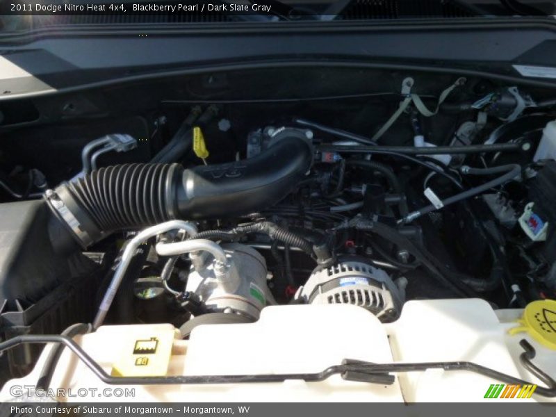 Blackberry Pearl / Dark Slate Gray 2011 Dodge Nitro Heat 4x4