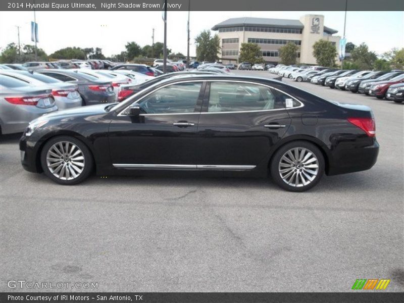  2014 Equus Ultimate Night Shadow Brown