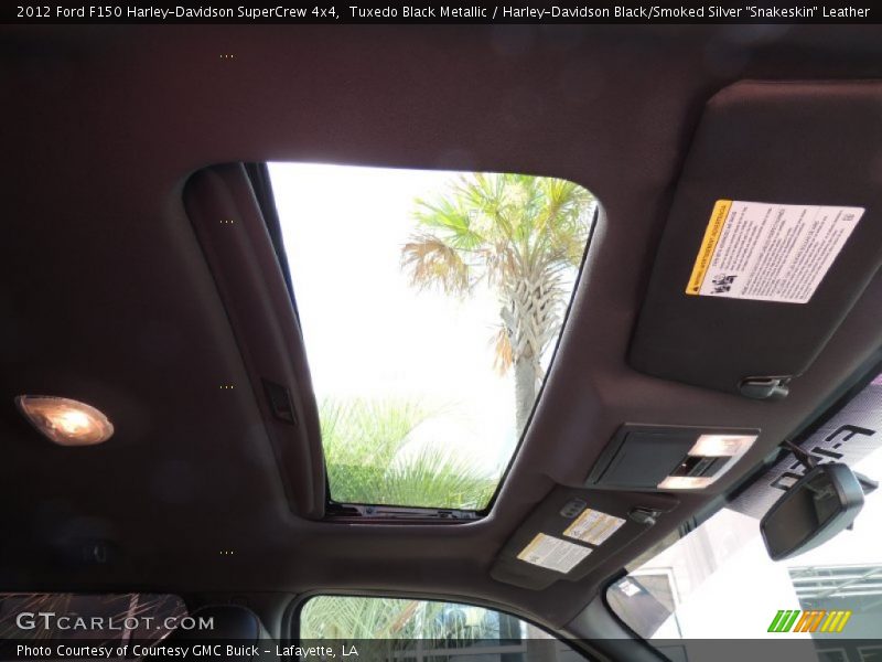 Tuxedo Black Metallic / Harley-Davidson Black/Smoked Silver 