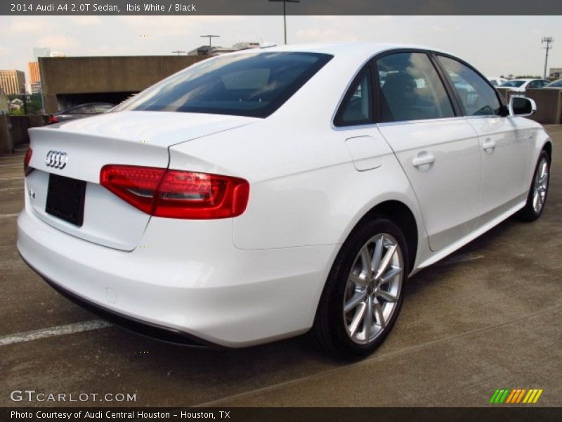 Ibis White / Black 2014 Audi A4 2.0T Sedan