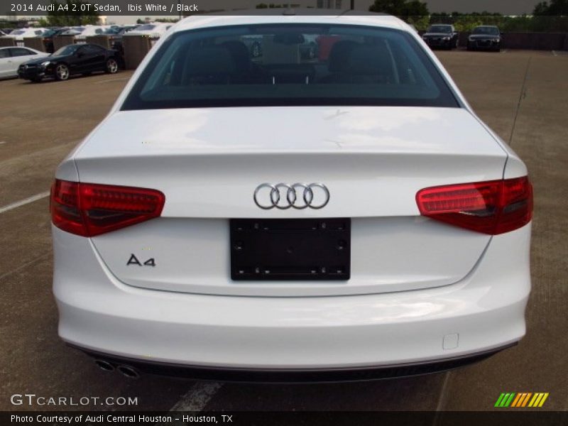 Ibis White / Black 2014 Audi A4 2.0T Sedan