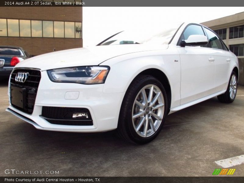 Ibis White / Black 2014 Audi A4 2.0T Sedan